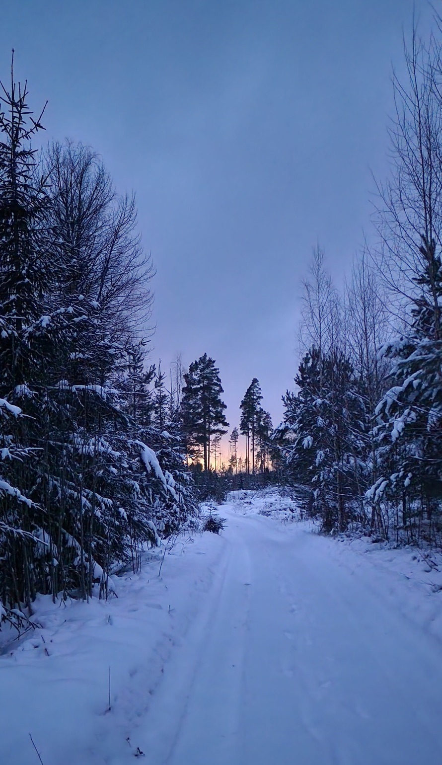 Finnish Nature